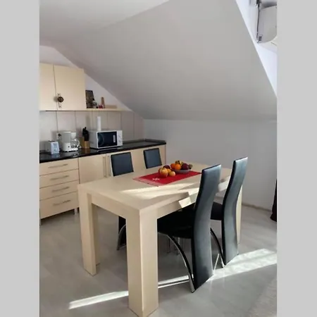 Private Loft Apartment Sudrigiu