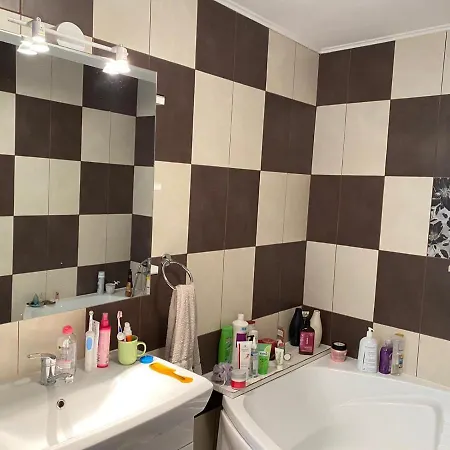 Private Loft Apartment Sudrigiu